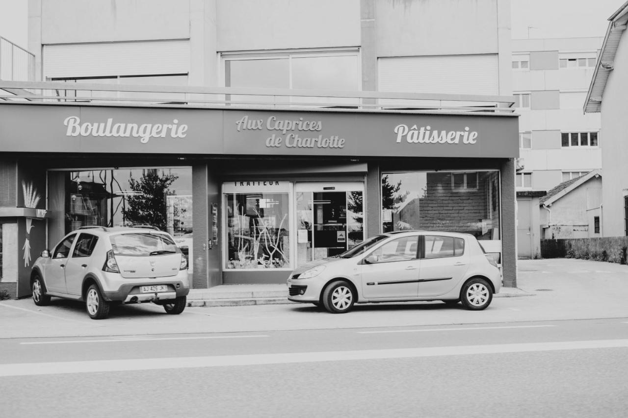Franc-Bisontin - Unique ! 4 Logements Disponibles 贝桑松 外观 照片